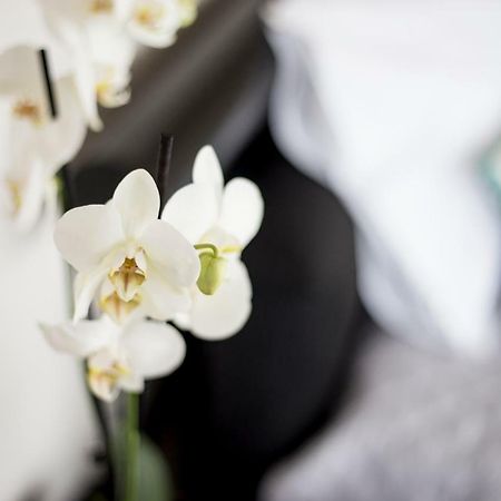 Appartamento "Sea View"Loft Vila do Conde Esterno foto